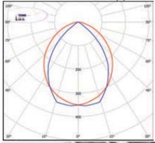  ������ ���� �����